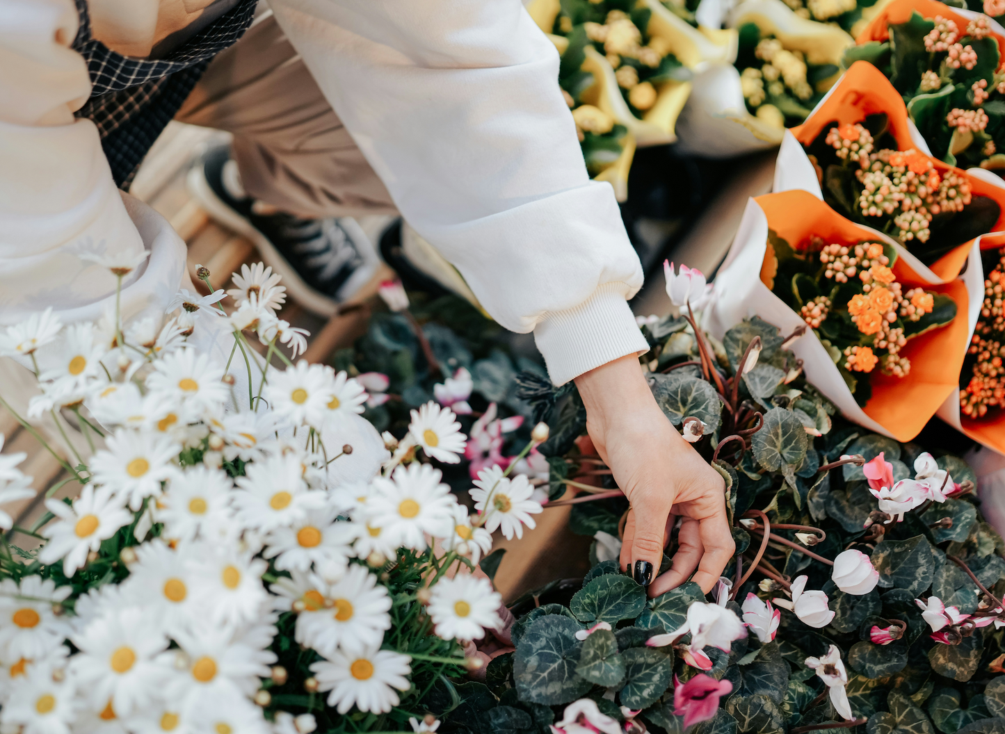 Platter & Petal Floral Design Class | March 14, 2026