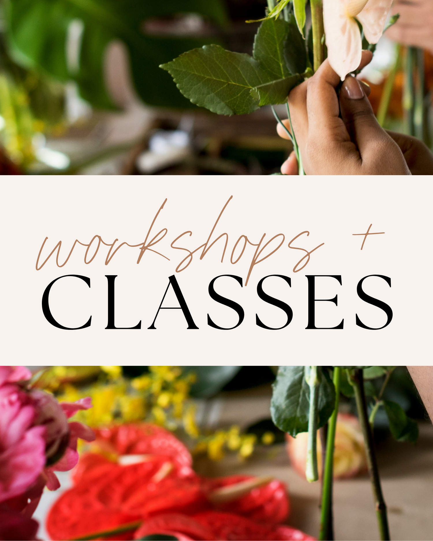Workshops + Classes
