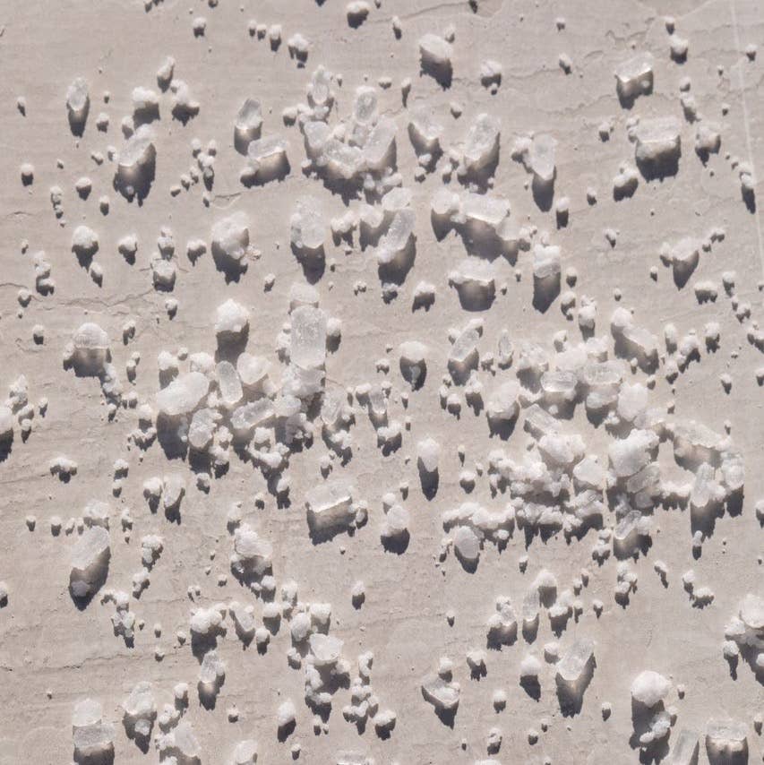 Wild Rose Bath Soak: 7oz