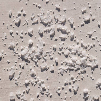 Eucalyptus Bath Soak: 7 oz